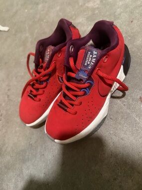 LeBron James Nike Red and Purple Athletic Sneakers